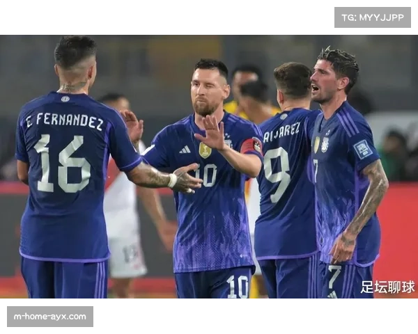 阿根廷巴西双核稳定 南美竞争格局内部加剧